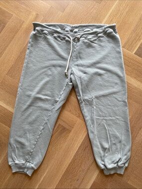 The Great the cropped sweatpants size 3 large